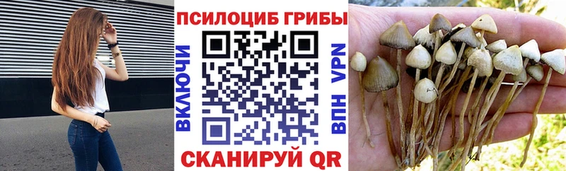 Галлюциногенные грибы мухоморы  Судак 
